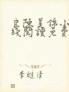 良陈美锦小说在线阅读免费