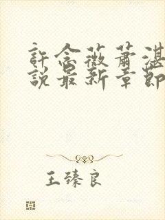 许念薇萧湛明小说最新章节免费阅读封面