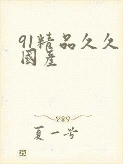 91精品久久久国产