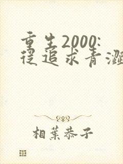 重生2000:从追求青涩校花同桌开始完本