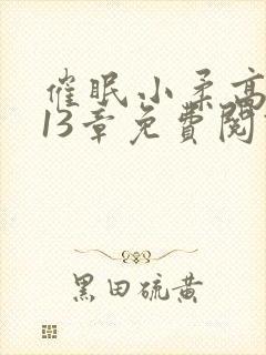 催眠小柔高达第13章免费阅读封面