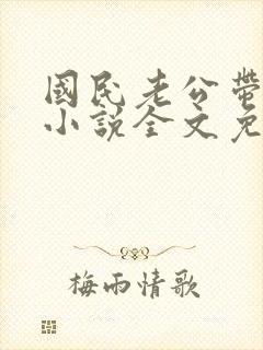 国民老公带回家小说全文免费阅读封面