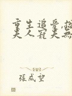 重生追爱,总裁夫人宠夫无度封面