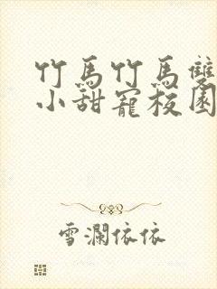 竹马竹马双男主小甜宠校园文推荐封面
