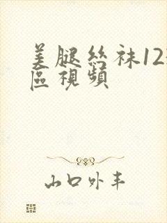 美腿丝袜123区视频