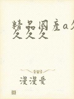 精品国产a久久久久久