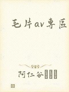 毛片av专区
