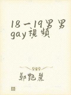 18一19男男gay视频