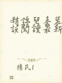 赵锦儿秦慕修小说阅读最新