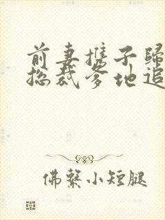 前妻携子归来,总裁爹地追妻令