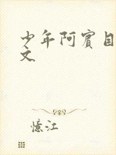 少年阿宾目录全文封面