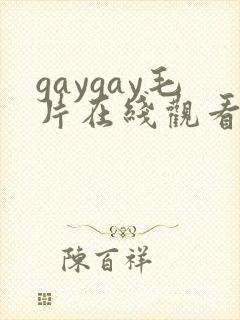gaygay毛片在线观看视频