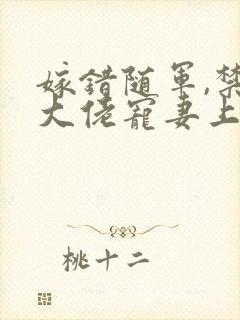 嫁错随军,禁欲大佬宠妻上瘾