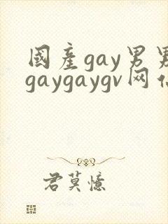 国产gay男男gaygaygv网站封面