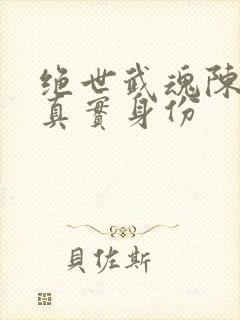 绝世武魂陈枫的真实身份