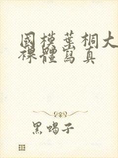 国模叶桐大尺度裸体写真