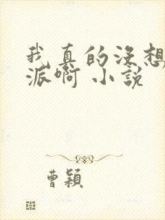 我真的没想当反派啊 小说封面