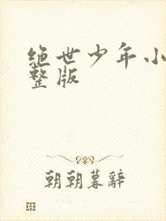 绝世少年小说完整版