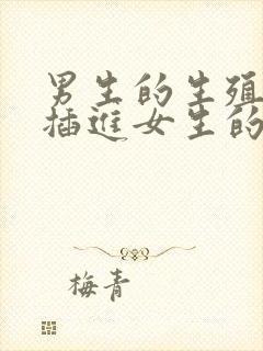 男生的生殖器官插进女生的生殖器官的软件