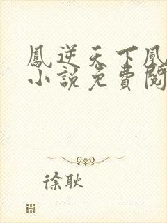 凤逆天下凰北月小说免费阅读