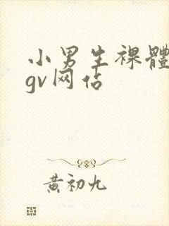 小男生裸体光腚gv网站
