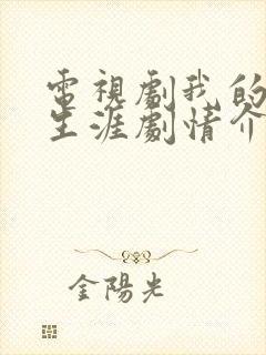 电视剧我的绝密生涯剧情介绍