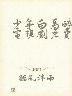 少年白马醉春风电视剧免费看全集封面