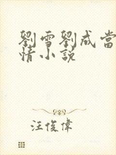 刘雪刘成当代爱情小说