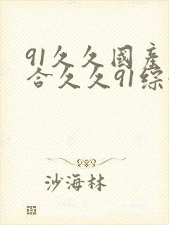 91久久国产综合久久91综合