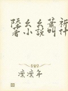 陆幺幺萧祈之原著小说叫什么封面