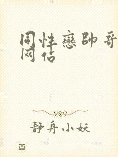 同性恋帅哥国产网站