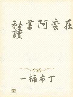 秘书阿蛮在线阅读