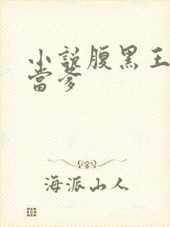 小说腹黑王爷喜当爹