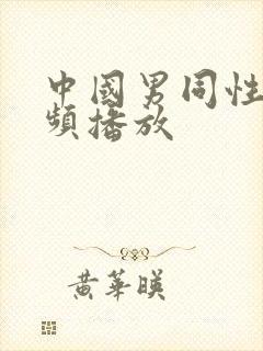 中国男同性恋视频播放