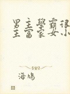 男主学霸很穷女主富家女小说