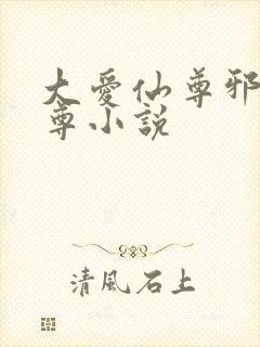 大爱仙尊邪银魔尊小说