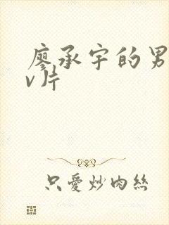 廖承宇的男男gv片