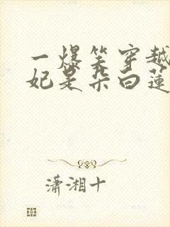 一爆笑穿越:王妃是朵白莲花