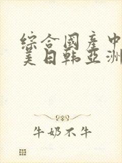 综合国产中文欧美日韩亚洲中字封面