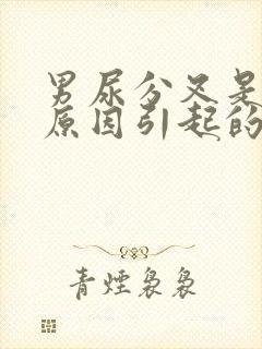 男尿分叉是什么原因引起的