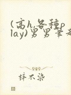 (高h,各种play)男男笔趣阁封面