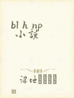 bl h np 小说封面