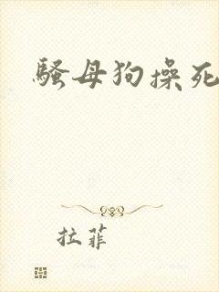 骚母狗操死你封面