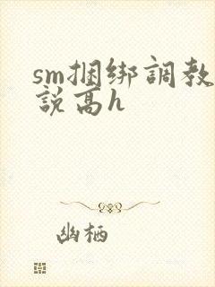 sm捆绑调教小说高h