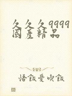 久久久9999国产精品