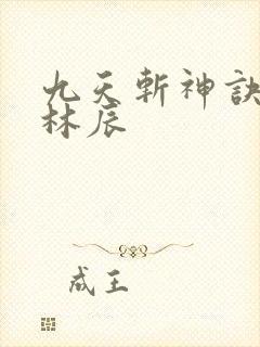 九天斩神诀小说林辰