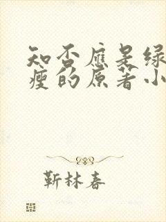 知否应是绿肥红瘦的原著小说