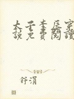 太子李辰穿越小说免费阅读封面