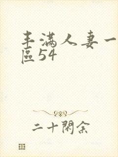 丰满人妻一区二区54封面