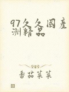 97久久国产亚洲精品